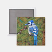 Hübsch Wilderness Blue Jay Magnet (Vorderseite/Rückseite)