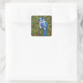 Hübsch Wilderness Blue Jay Quadratischer Aufkleber (Tasche)