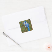 Hübsch Wilderness Blue Jay Quadratischer Aufkleber (Umschlag)