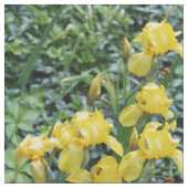 Hübsch Yellow Irises Garden Blume Stoff (Nahaufnahme)