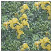 Hübsch Yellow Irises Garden Blume Stoff (Muster)