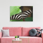 Hübsch Zebra Longwing Butterfly Canvas Print Leinwanddruck (Insitu (Wohnzimmer))