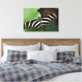 Hübsch Zebra Longwing Butterfly Canvas Print Leinwanddruck (Insitu (Schlafzimmer))