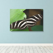 Hübsch Zebra Longwing Butterfly Canvas Print Leinwanddruck (Insitu (Holzboden))