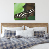Hübsch Zebra Longwing Butterfly Canvas Print Leinwanddruck (Insitu (Schlafzimmer))