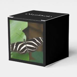 Hübsch Zebra Longwing Butterfly Custom Gevor Box Geschenkschachtel