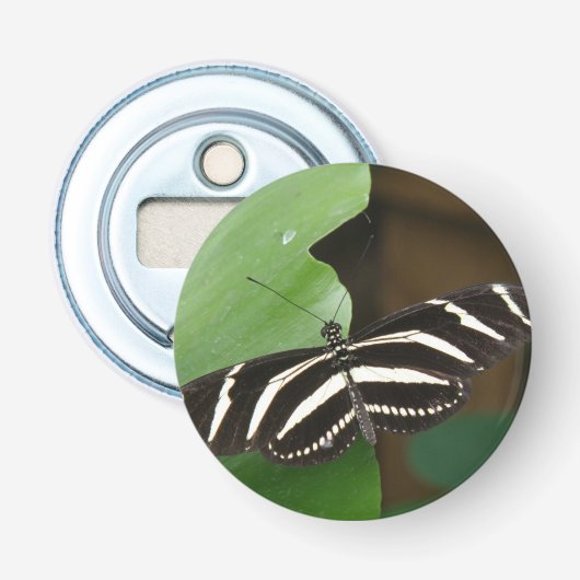 Hübsch Zebra Longwing Butterfly Flaschenöffner (Vorderseite)