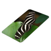 Hübsch Zebra Longwing Butterfly Flexi Magnet (Linke Seite)