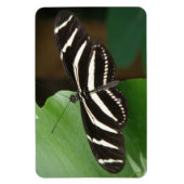 Hübsch Zebra Longwing Butterfly Flexi Magnet (Vertikal)