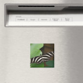 Hübsch Zebra Longwing Butterfly Magnet (In Situ (Geschirrspüler))