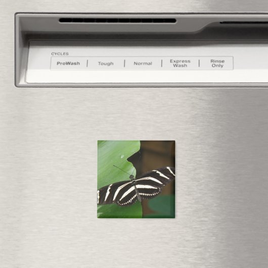 Hübsch Zebra Longwing Butterfly Magnet (In Situ (Geschirrspüler))