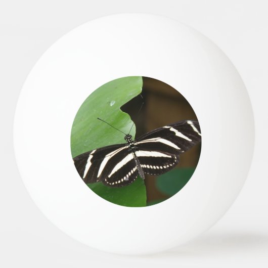 Hübsch Zebra Longwing Butterfly Pong Ball Tischtennisball (Vorderseite)