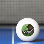 Hübsch Zebra Longwing Butterfly Pong Ball Tischtennisball (Netto)