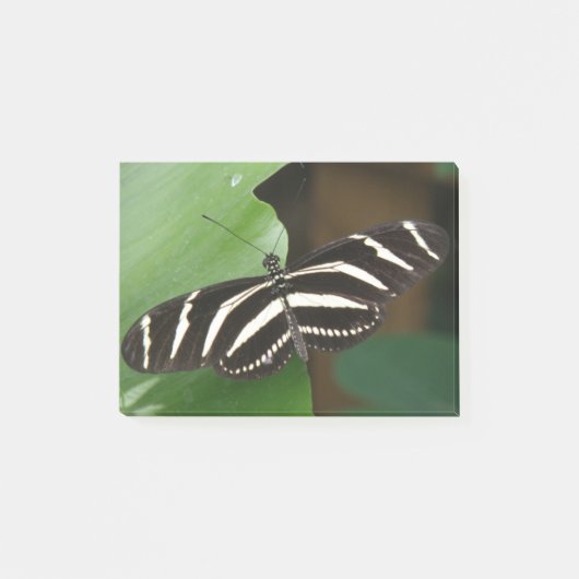 Hübsch Zebra Longwing Butterfly Post - Hinweise Post-it Klebezettel (Vorderseite)