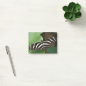 Hübsch Zebra Longwing Butterfly Post - Hinweise Post-it Klebezettel (Büro)