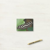 Hübsch Zebra Longwing Butterfly Post - Hinweise Post-it Klebezettel (Auf Schreibtisch)