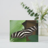 Hübsch Zebra Longwing Butterfly Postcard Postkarte (Stehend Vorderseite)