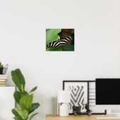 Hübsch Zebra Longwing Butterfly Print Poster (Heimbüro)