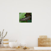 Hübsch Zebra Longwing Butterfly Print Poster (Küche)