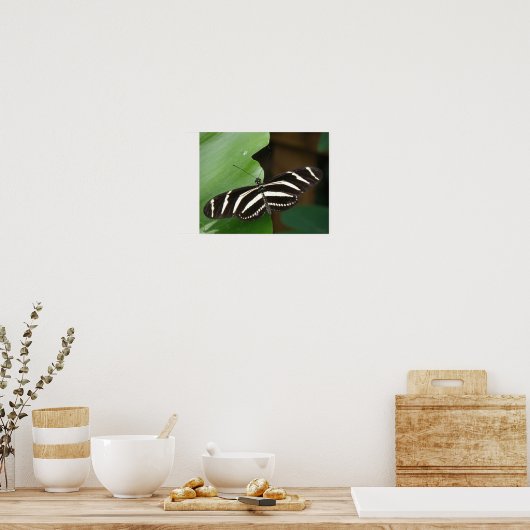 Hübsch Zebra Longwing Butterfly Print Poster (Küche)