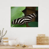 Hübsch Zebra Longwing Butterfly Print Poster (Küche)