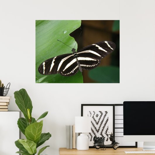 Hübsch Zebra Longwing Butterfly Print Poster (Heimbüro)
