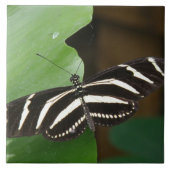 Hübsch Zebra Longwing Butterfly Tile Fliese (Vorderseite)