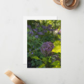 Hübsche Allium Mitteilungskarte (Vorderseite/Rückseite Beispiel)
