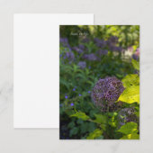 Hübsche Allium Mitteilungskarte (Vorne/Hinten)