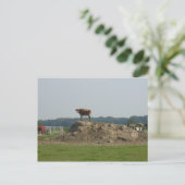 Hübsche Ansichtskarte Postkarte (Stehend Vorderseite)