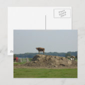 Hübsche Ansichtskarte Postkarte (Vorne/Hinten)