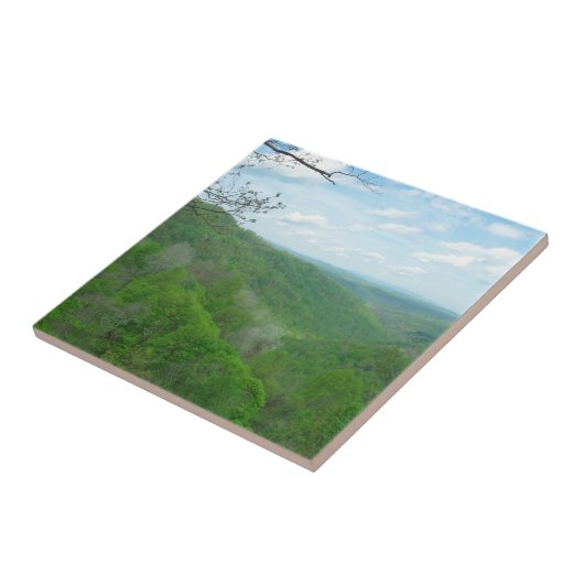 Hübsche appalachische Übersicht Fliese (Seite)