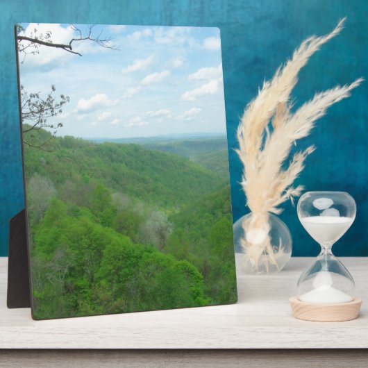 Hübsche appalachische Übersicht Fotoplatte (Seite)