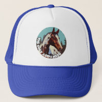 Hübsche Appaloosa
