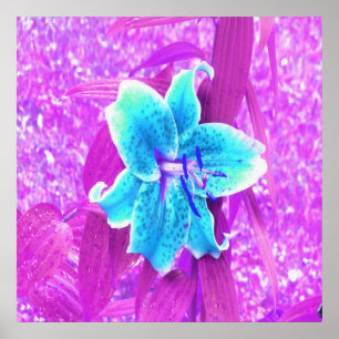 Hübsche Aqua Blaue Stargazer Lilie auf Lila Poster