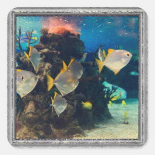 Hübsche Aquarienfische Quadratischer Aufkleber