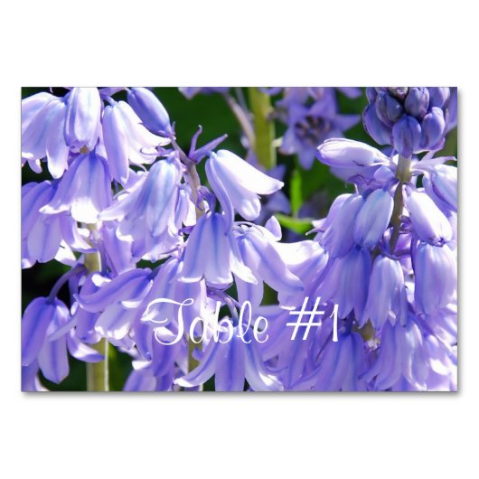Hübsche Bell-Blume Tischnummer (Vorderseite)