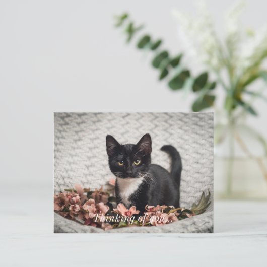 Hübsche Bella Rose Denken Sie an Sie Postkarte (Stehend Vorderseite)