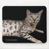 Hübsche Bengalkatze chillin' in der Eigentumswohnu Mousepad (Vorne)