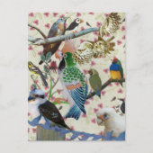 Hübsche Birdies Postkarte (Vorderseite)