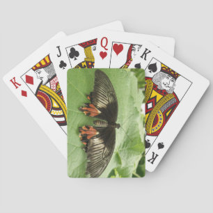 Hübsche Black Red and Gold Butterfly Karten Spielkarten