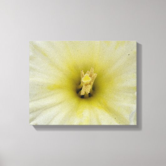 Hübsche, blasse Canvas Leinwanddruck (Vorderseite)