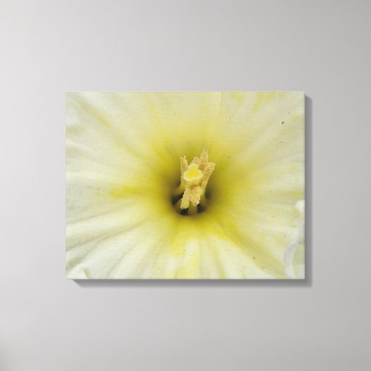 Hübsche, blasse Canvas Leinwanddruck (Vorderseite)
