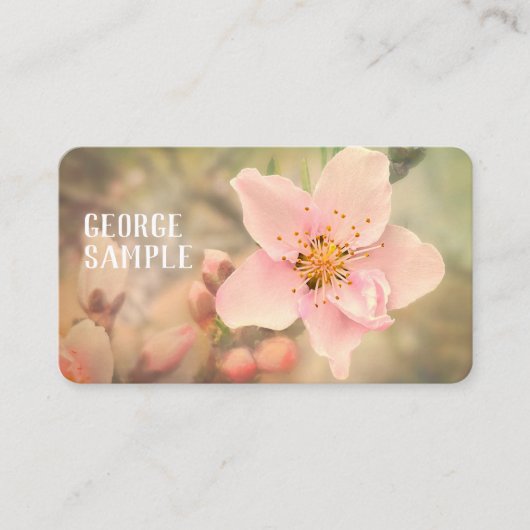 hübsche, blassrosa Traumblumenfotografie Visitenkarte (Vorderseite)