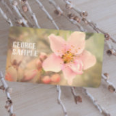 hübsche, blassrosa Traumblumenfotografie Visitenkarte