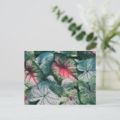 Hübsche Blätter Postkarte (Stehend Vorderseite)