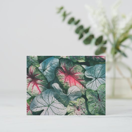 Hübsche Blätter Postkarte (Stehend Vorderseite)