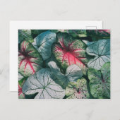 Hübsche Blätter Postkarte (Vorne/Hinten)