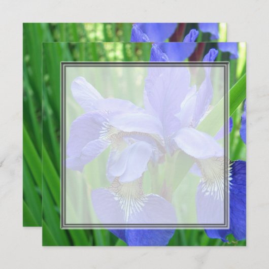 Hübsche blaue Iris-Blume, Hochzeit, Party, Einladung (Vorne/Hinten)