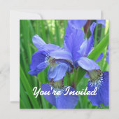 Hübsche blaue Iris-Blume, Hochzeit, Party, Einladung (Rückseite)